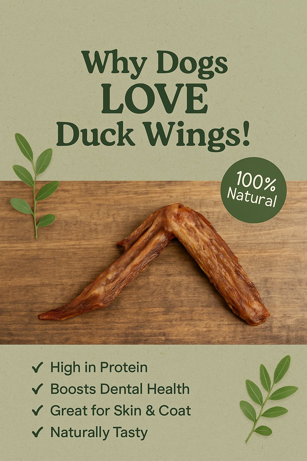 Duck Wings for Dogs - Yes or No?