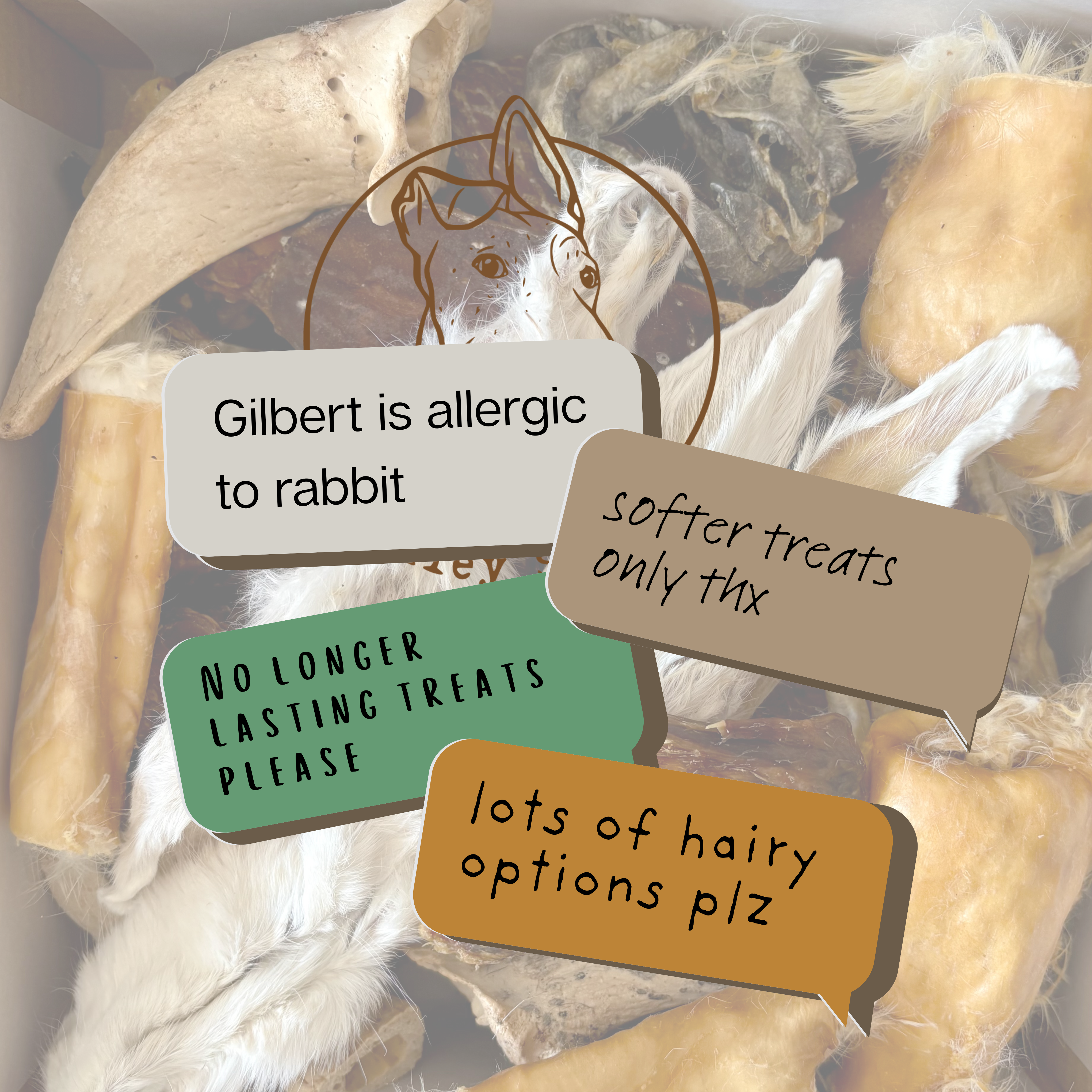 Tailored Treats for Every Dog: How Stanley Snacks Puts Your Dog First