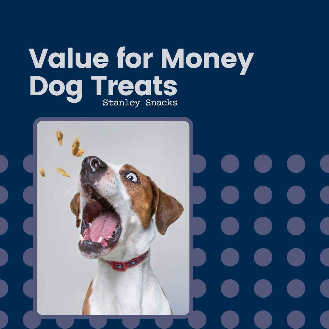 How to Get the Best Value for Money with Natural Dog Treats