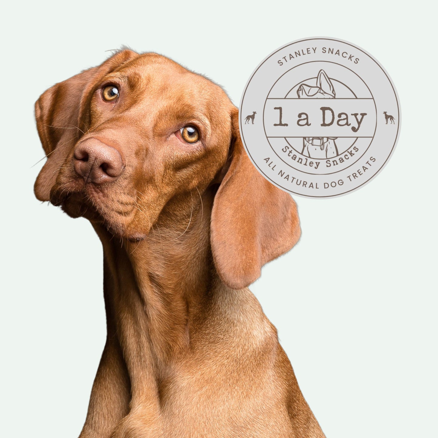 A colour image of a tan dog with a logo stating 1 a day