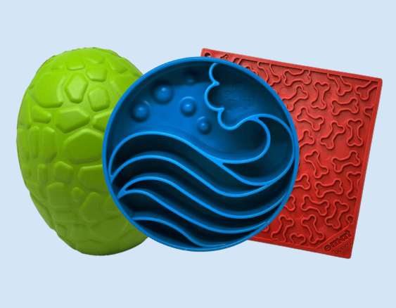 A colour image of dog feeding accessories
