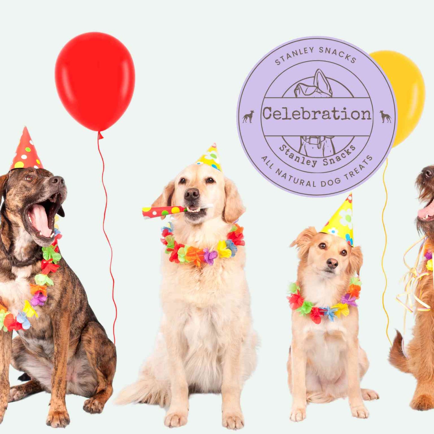 A colour image of a group of dogs celebrating an event with the text Stanley Snacks Celebration natural dog treats