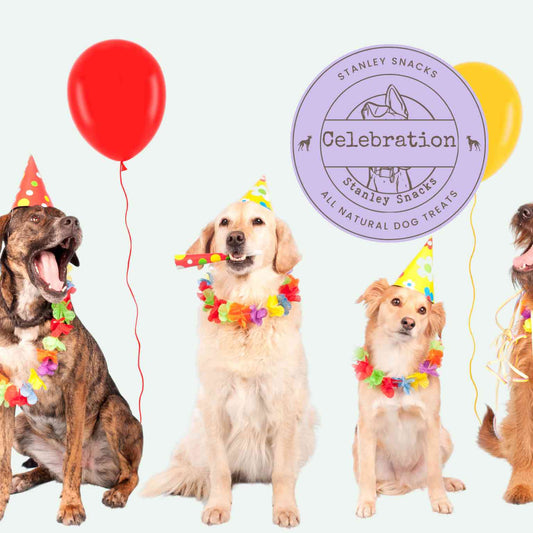 A colour image of a group of dogs celebrating an event with the text Stanley Snacks Celebration natural dog treats