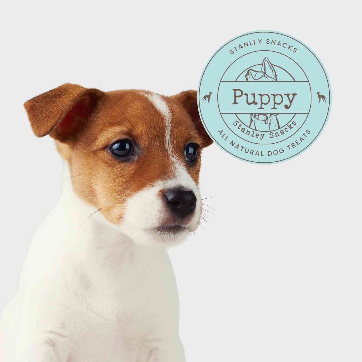 A colour image of a young puppy with a badge with the text puppy natural dog treats
