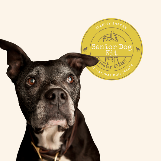 Senior Dog Kit