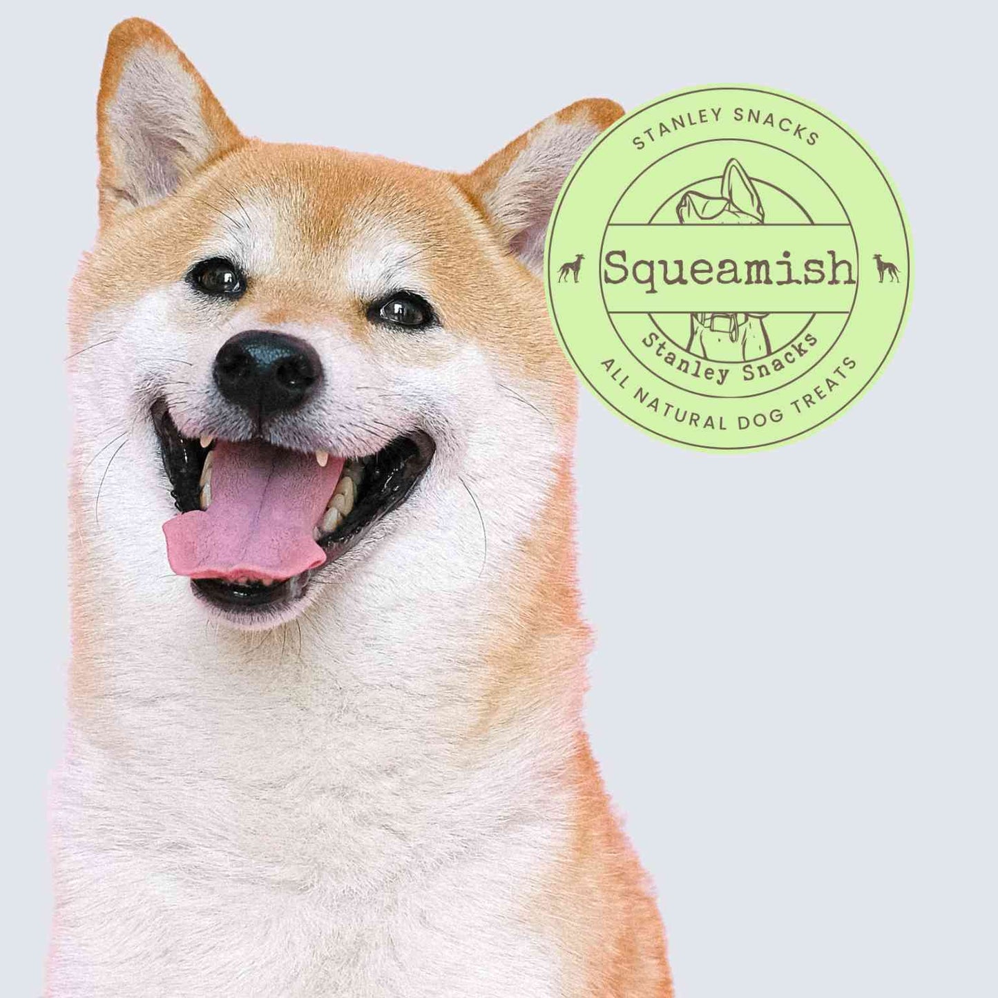 A colour image of a sandy coloured dog with a badge with the text squeamish natural dog treats