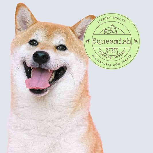 A colour image of a sandy coloured dog with a badge with the text squeamish natural dog treats
