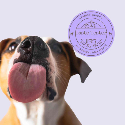 A colour image of a dog with its tongue out with a badge with the text Stanley Snacks Taste Tester