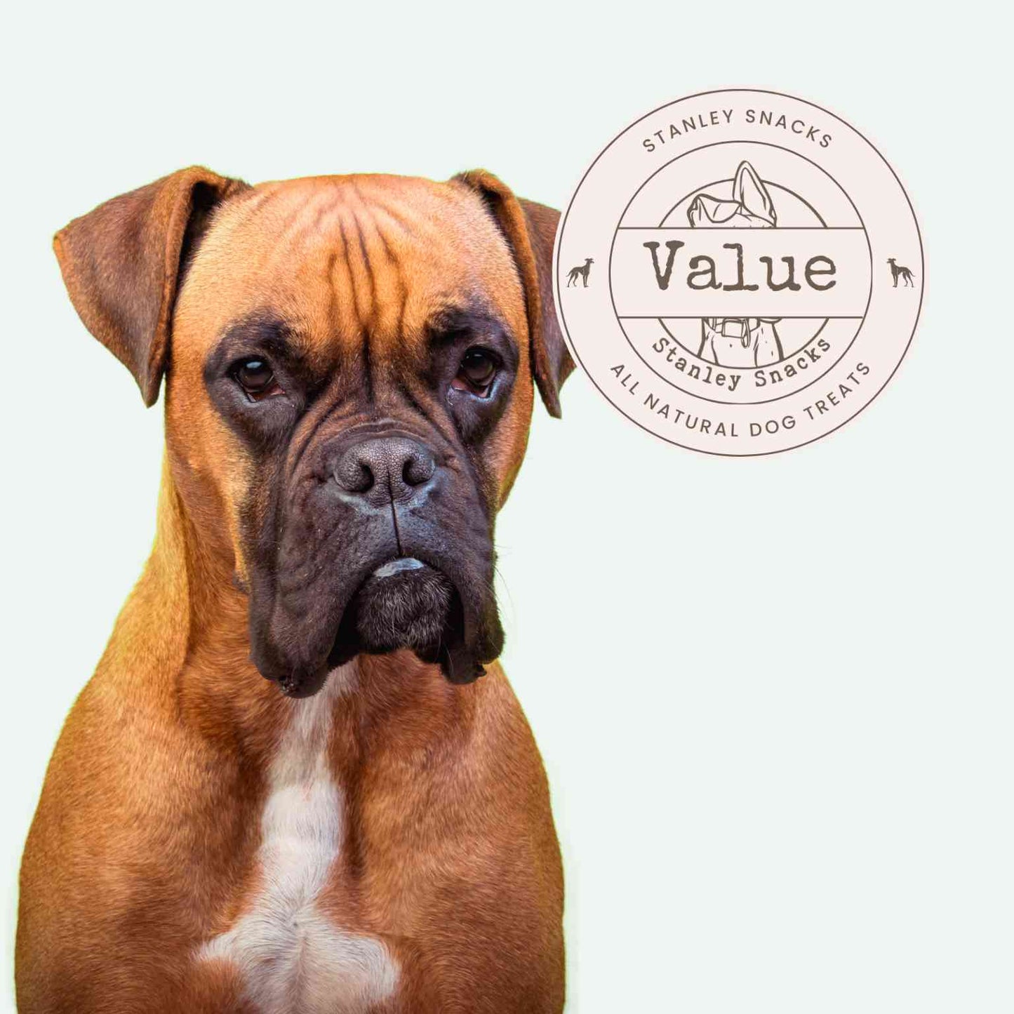 A colour image of a tan boxer dog with a badge with the text Value natural dog treats