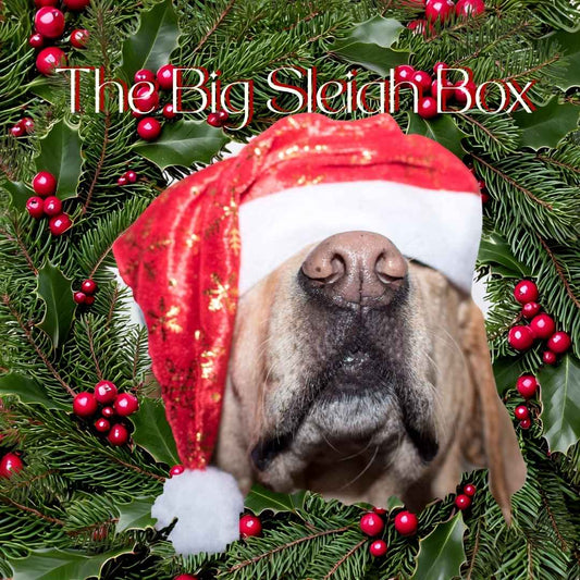 The Big Sleigh Box