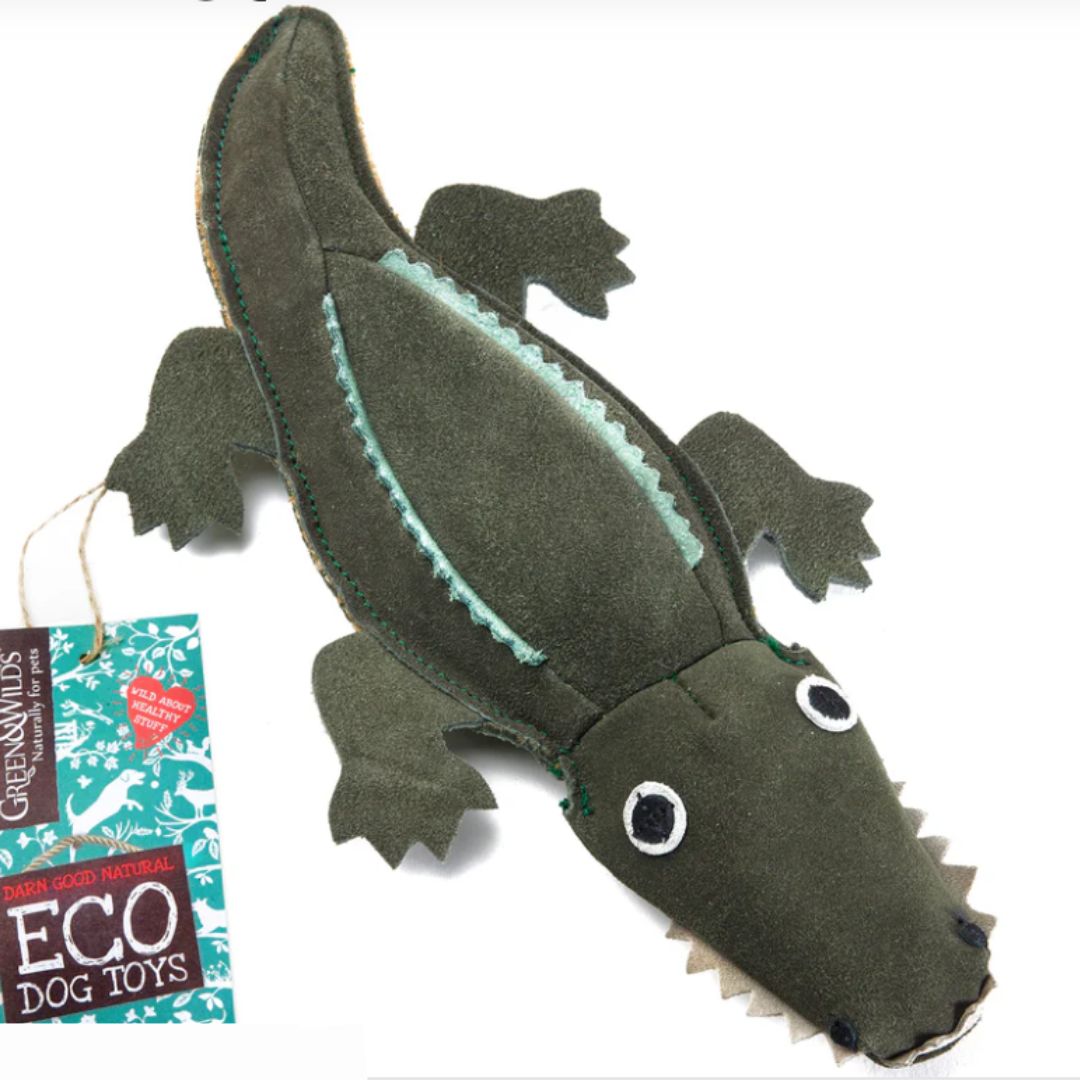 A colour image of a green crocodile dog toy