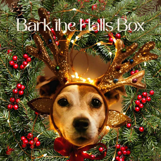 Bark the Halls Box