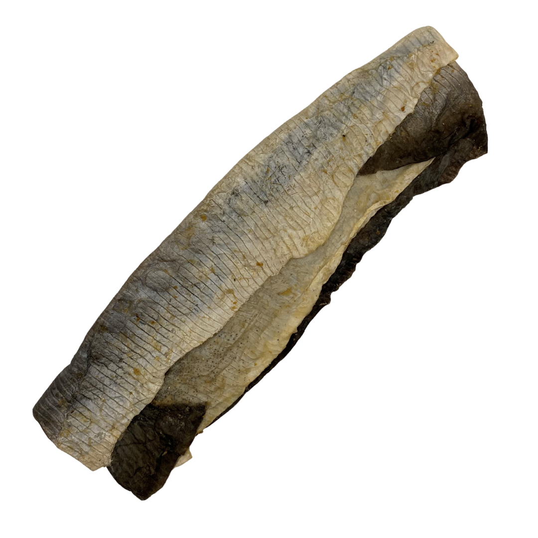 A colour image of a Stanley Snacks natural dog treat, pictured is a flattened dried fish skin