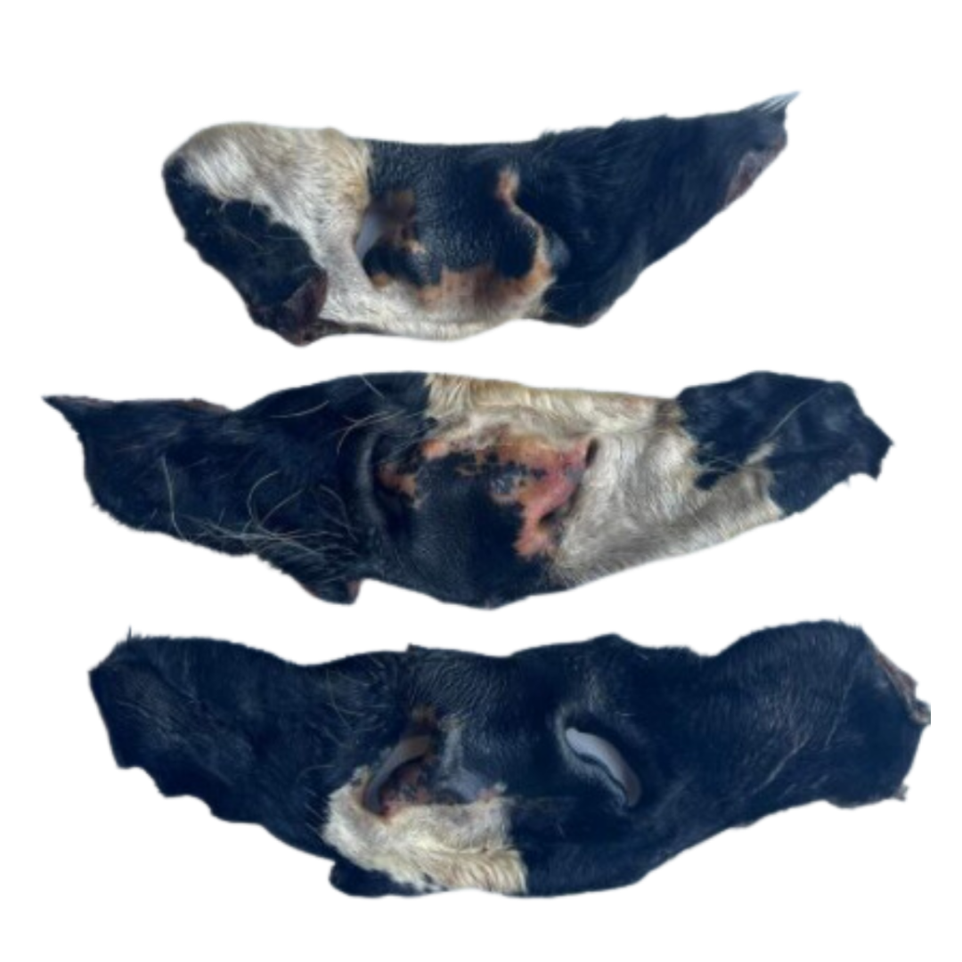 A colour image of 3 hairy beef snout dog treats