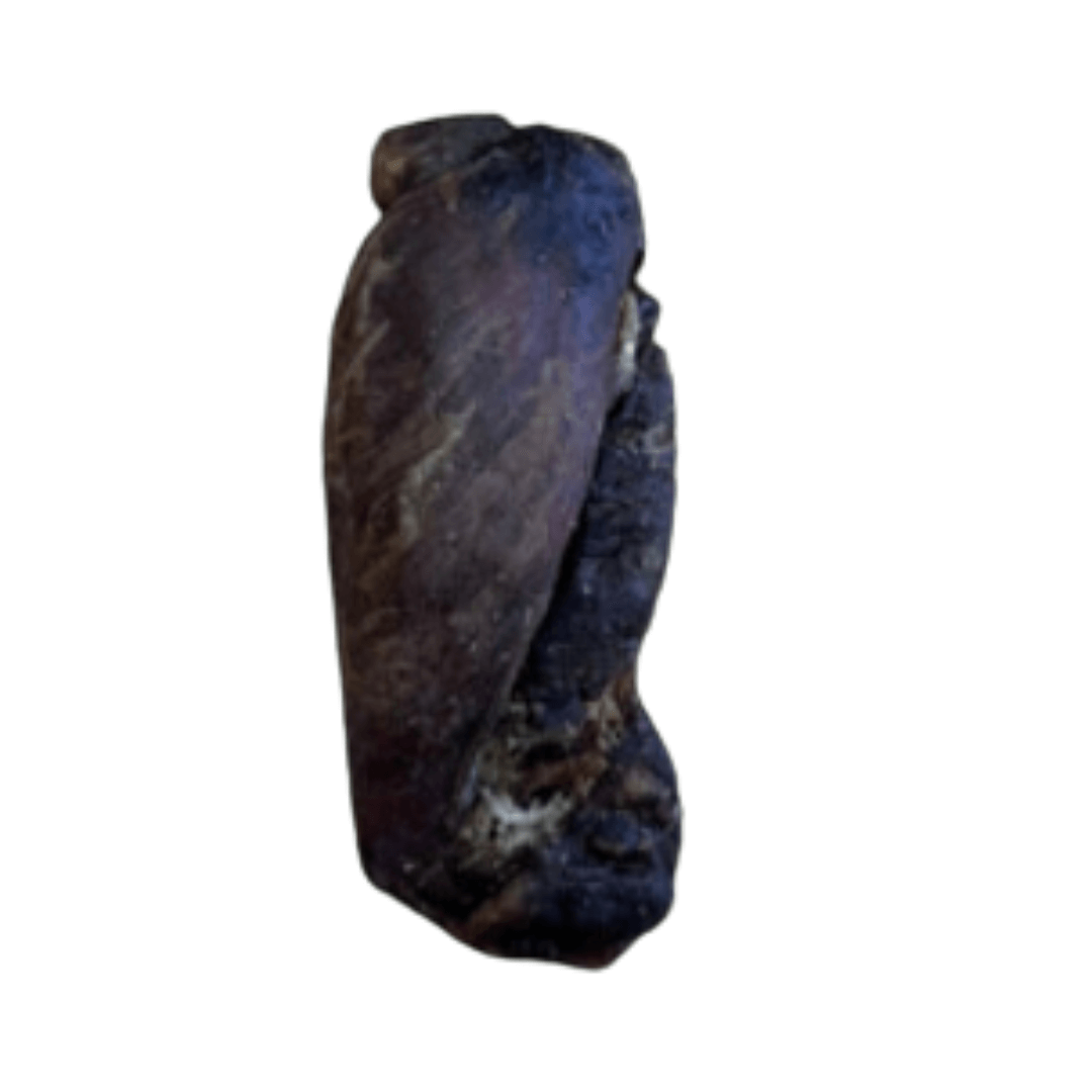 lamb testicle, natural dog treats