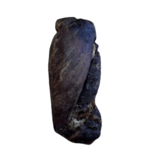 lamb testicle, natural dog treats