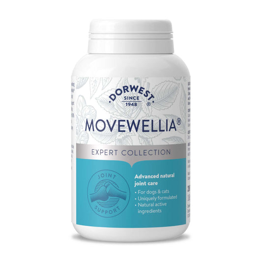 Image of a plastic tub of Movewellia tablets. The label is blue.