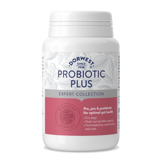 Image of a plastic tub of Dorwest Probiotic Plus Capsules. The label is pink.