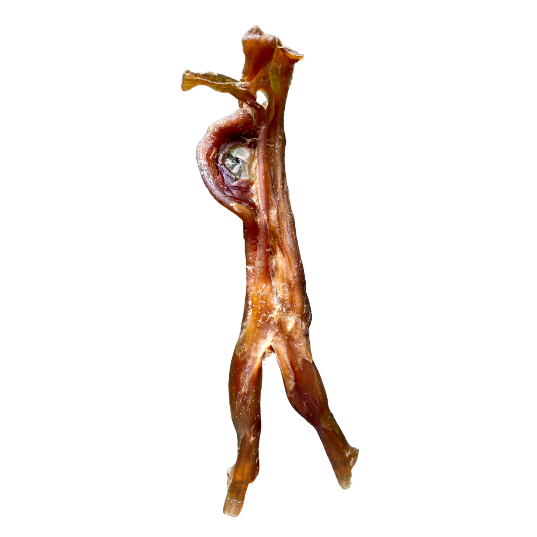 Beef Tendon