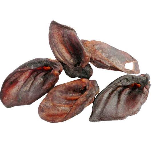 Wild Boar Ears - Plain