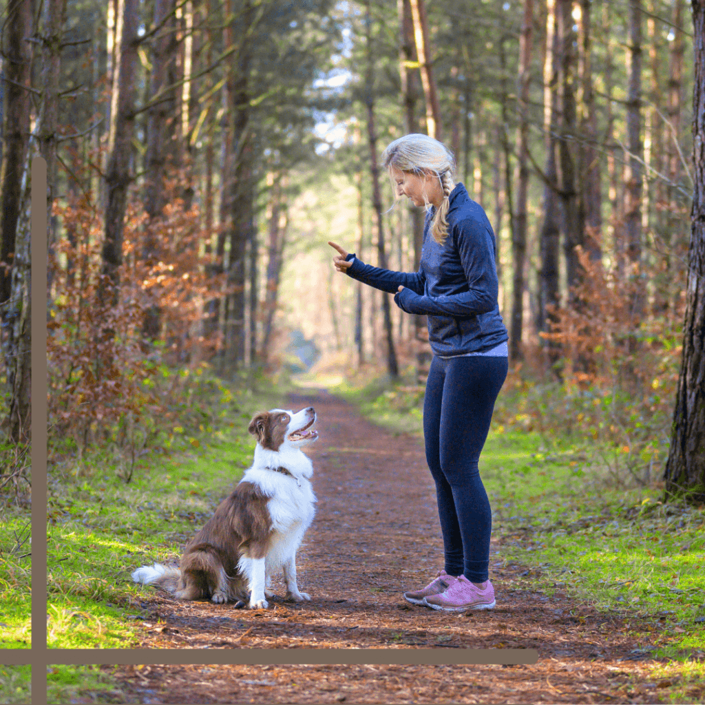 Training Your Pup with Natural Dog Treats: A Healthy and Effective Approach