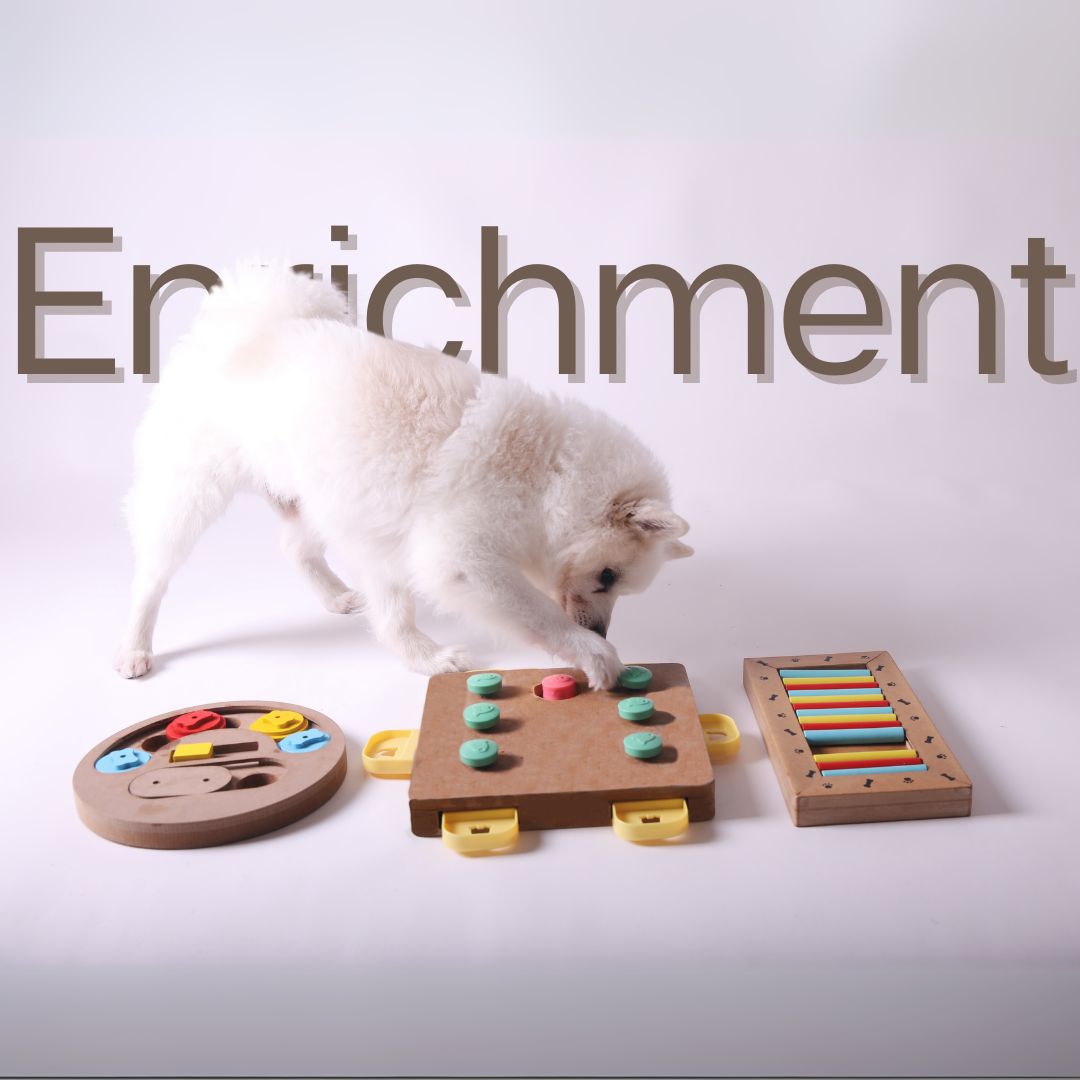 Enrichment for Dogs