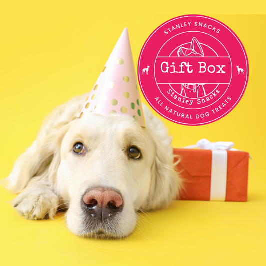 Natural Dog Treat Gift Box