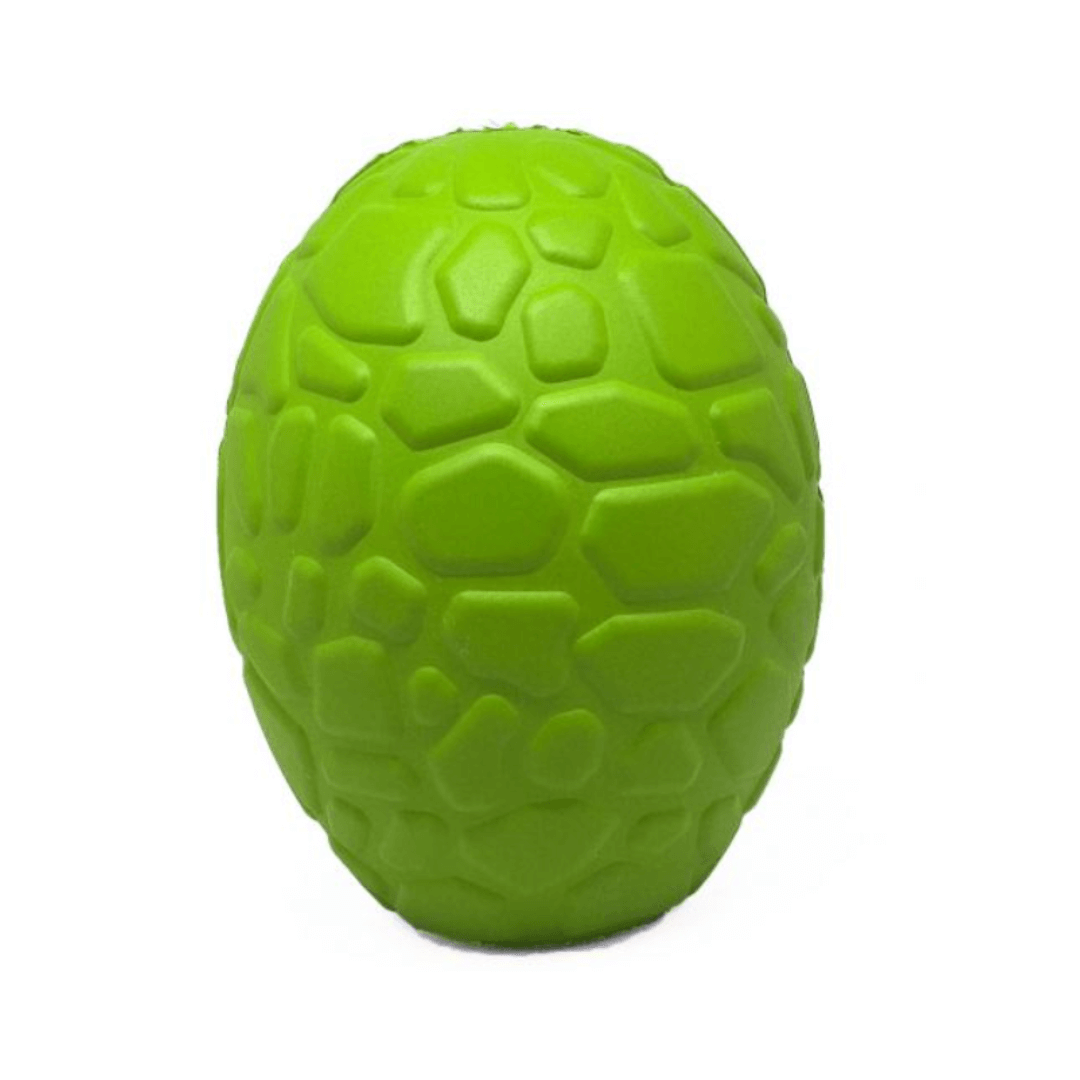 dino egg (1)