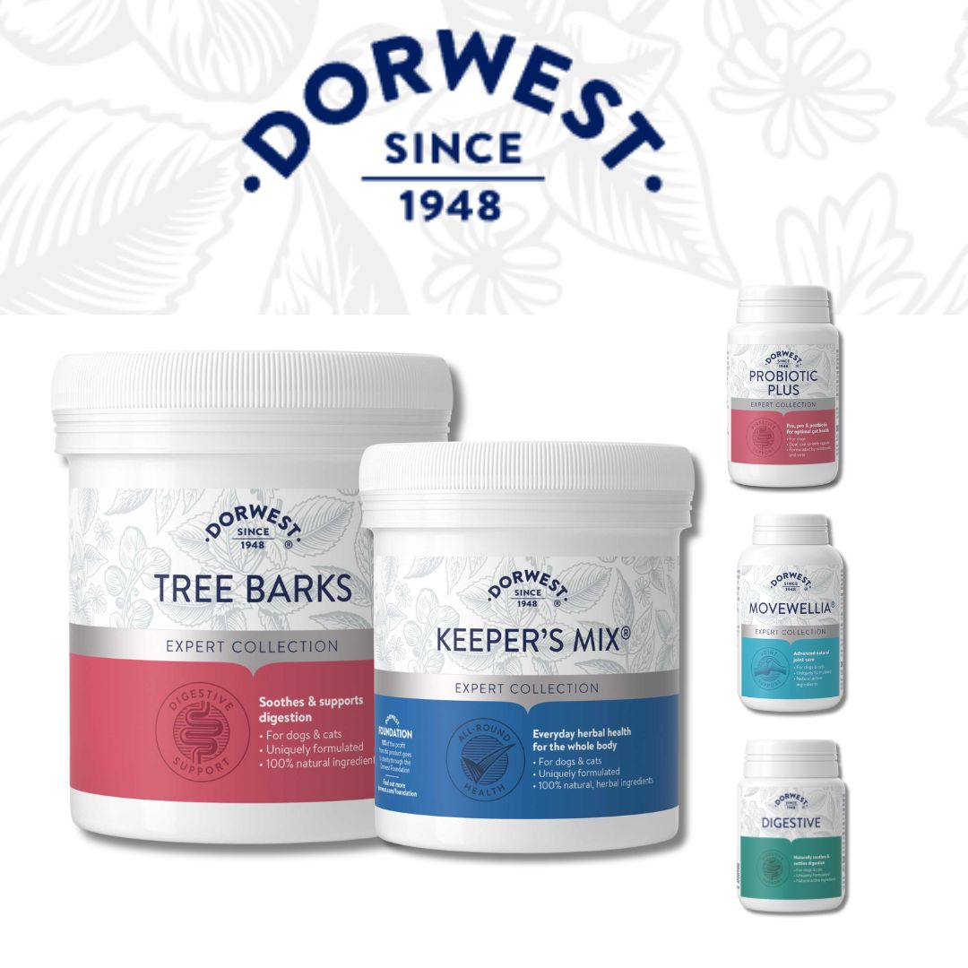 A colour image of Dorwest products -Tree Barks Powder, Keepers Mix, Probiotics Plus, Movewellia and Digestive. 