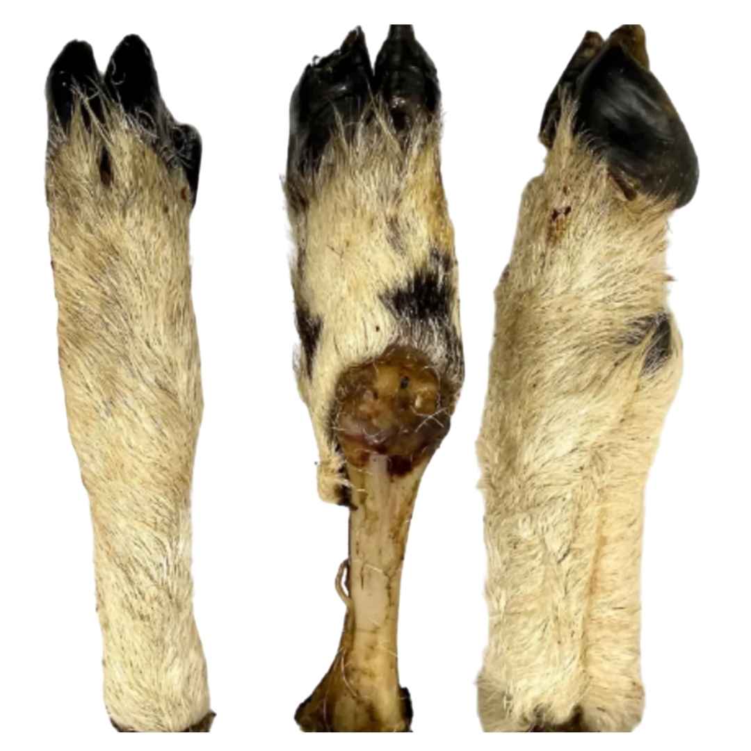 Hairy Lamb Leg
