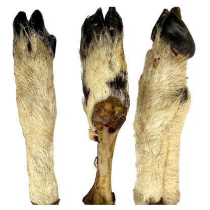Hairy Lamb Leg