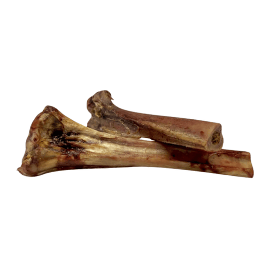 ostrich bone (1)