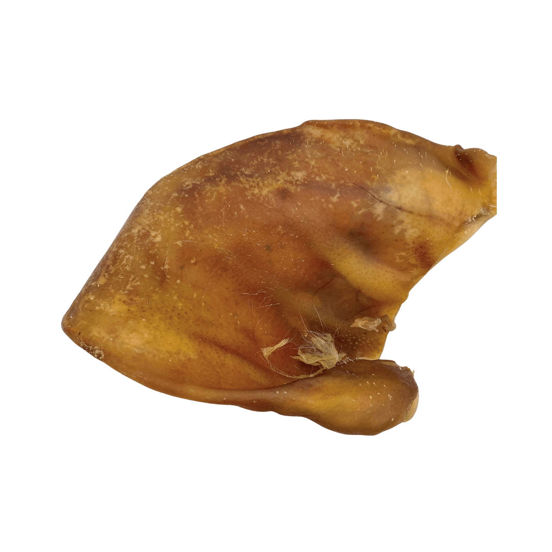 pig ear