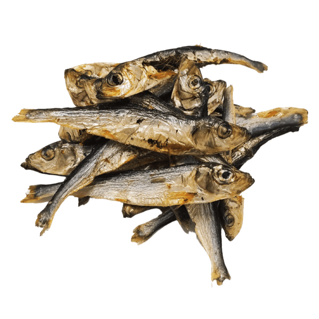 sprats (3)