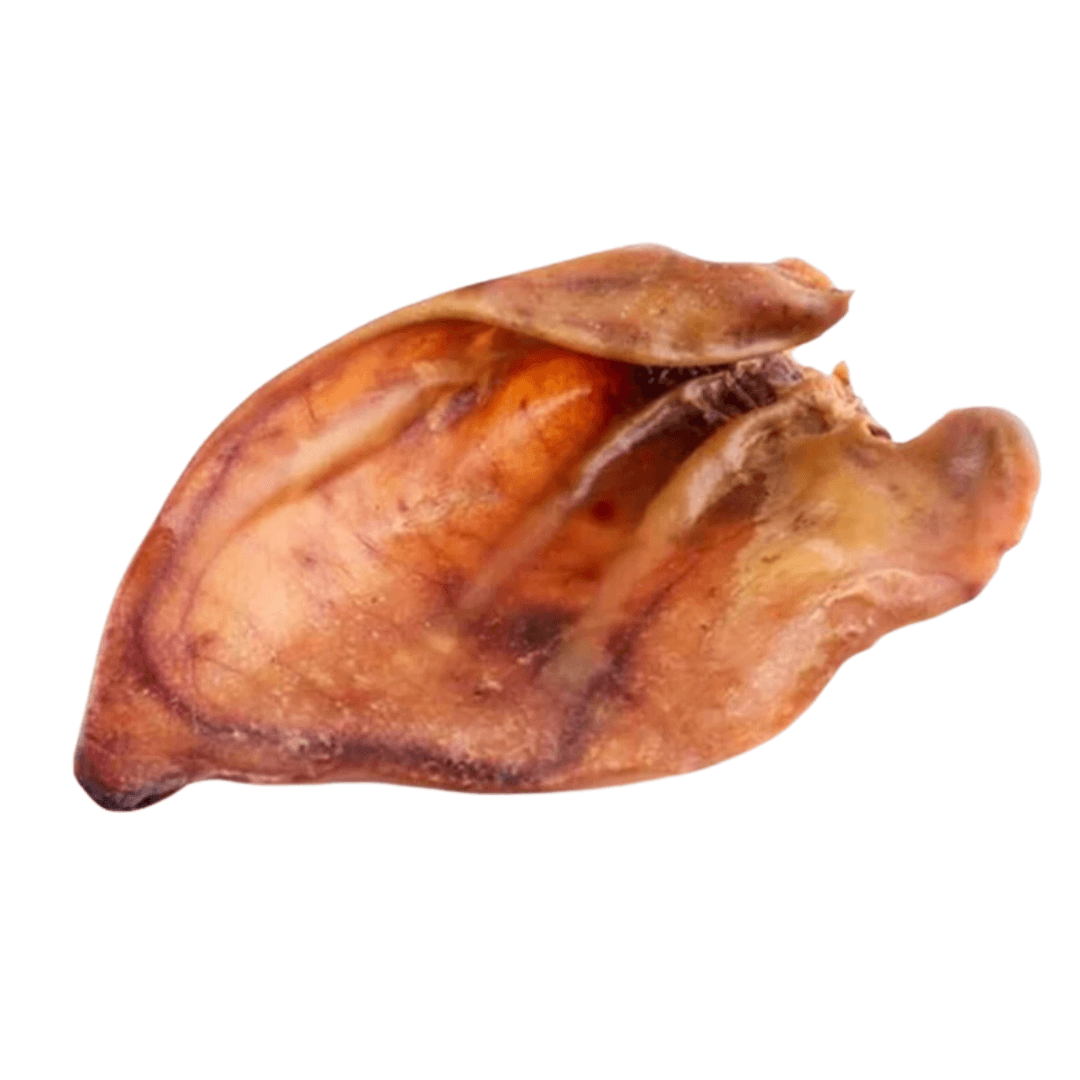 xxl pig ear (1)