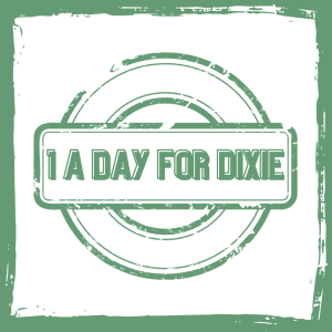 Custom Subscription for Dixie